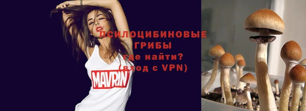 ГАЛЛЮЦИНОГЕННЫЕ ГРИБЫ Горно-Алтайск