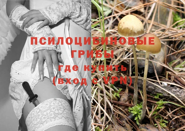 хмурый Горнозаводск