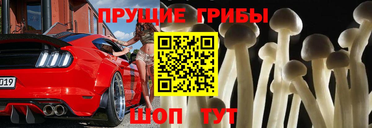 Галлюциногенные грибы мицелий  Галлюциногенные грибы прущие грибы  Вход с VPN  как найти закладки  Нурлат 