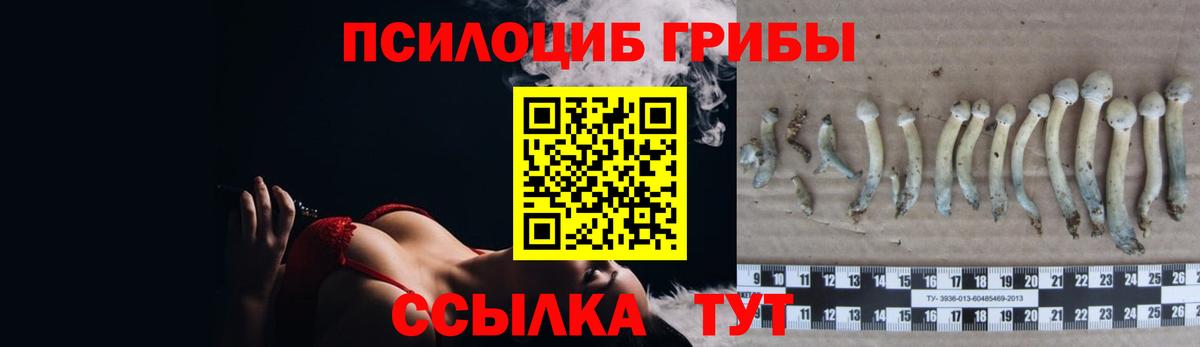 Галлюциногенные грибы мицелий Нурлат